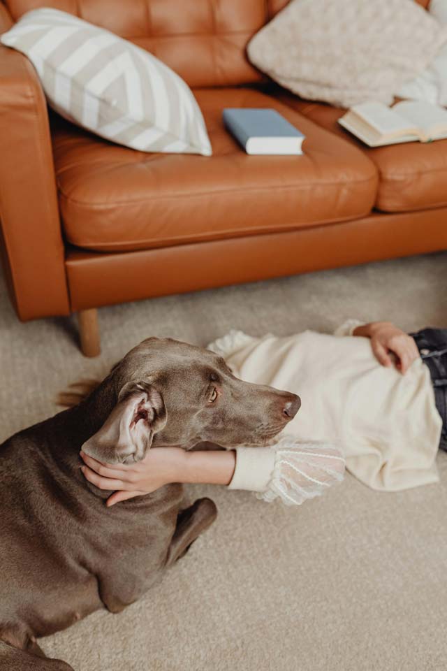 woman on carpet with dog floor time on carpet