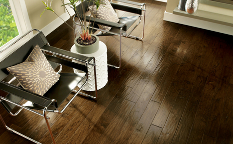 Dark Hardwood Flooring in Entrance Way